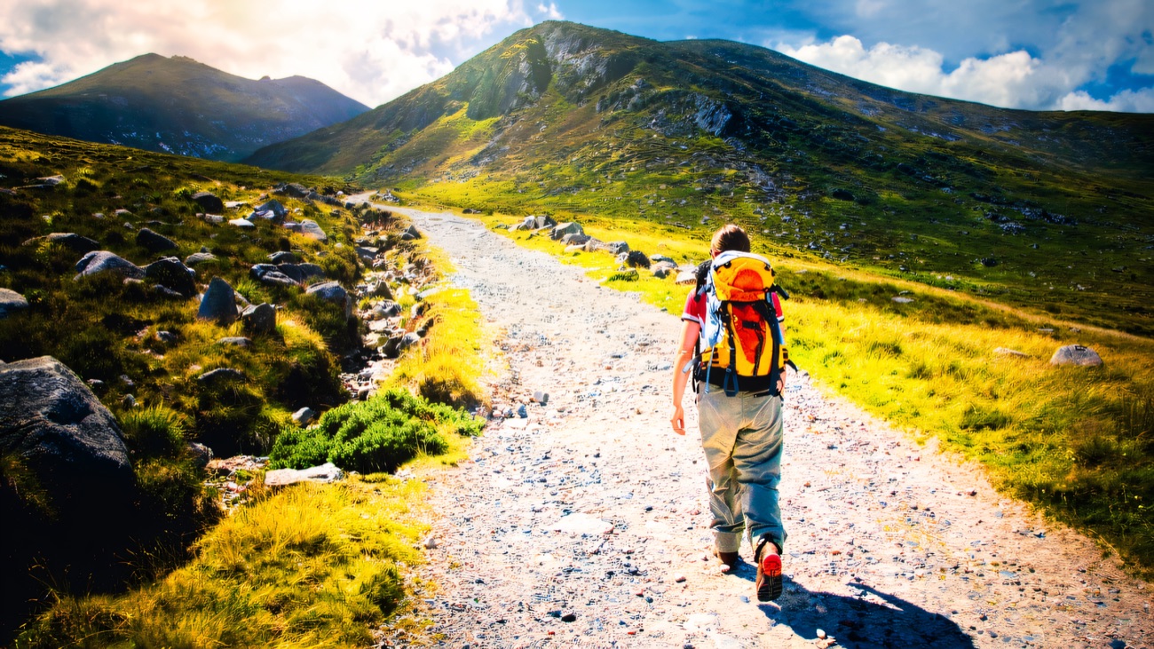 A bright gravel path heading up towards the sunlit peaks