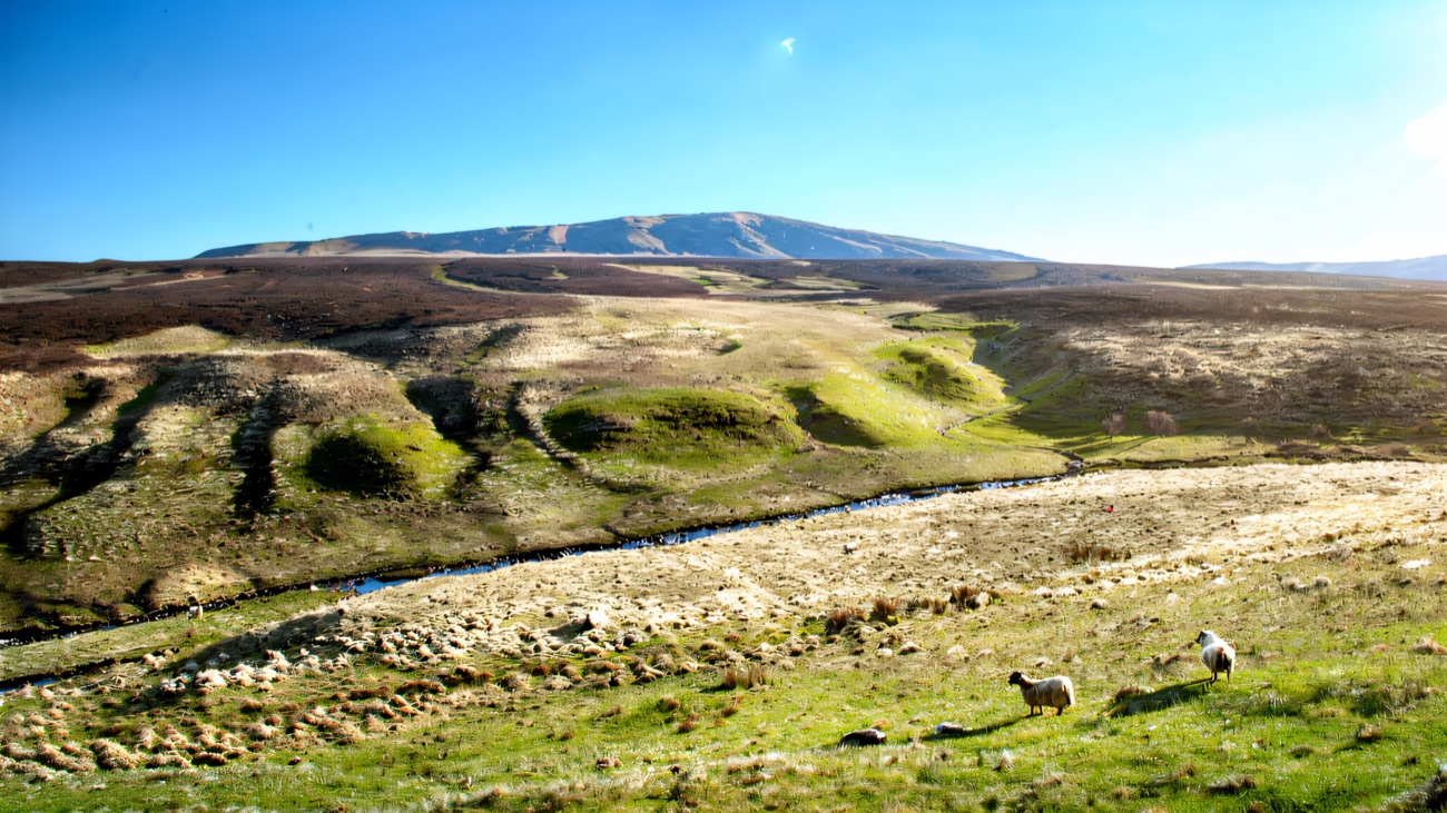 Open moorland and a mountain stream under a wide blue sky