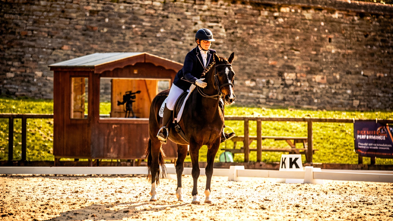 A bay horse and rider working in the outdoor sand arena beside the old stone wall