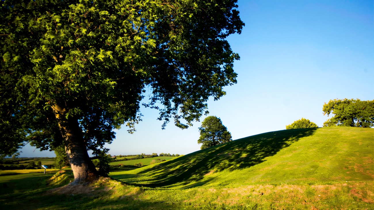 A sunlit ground-level view of the grassy summit mound, long linked in legend with the kings of Ulster.