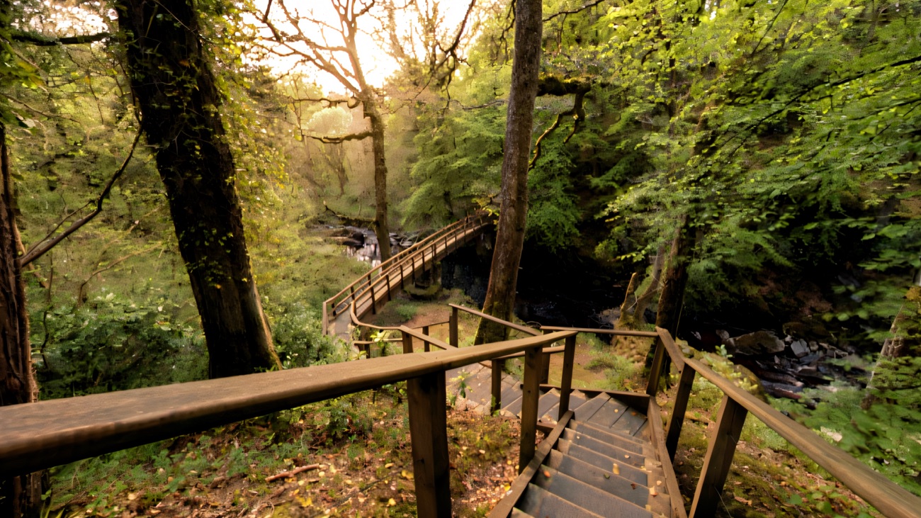 Wooden steps and a footbridge descending into the Ness river gorge, lit by low golden light through the trees.