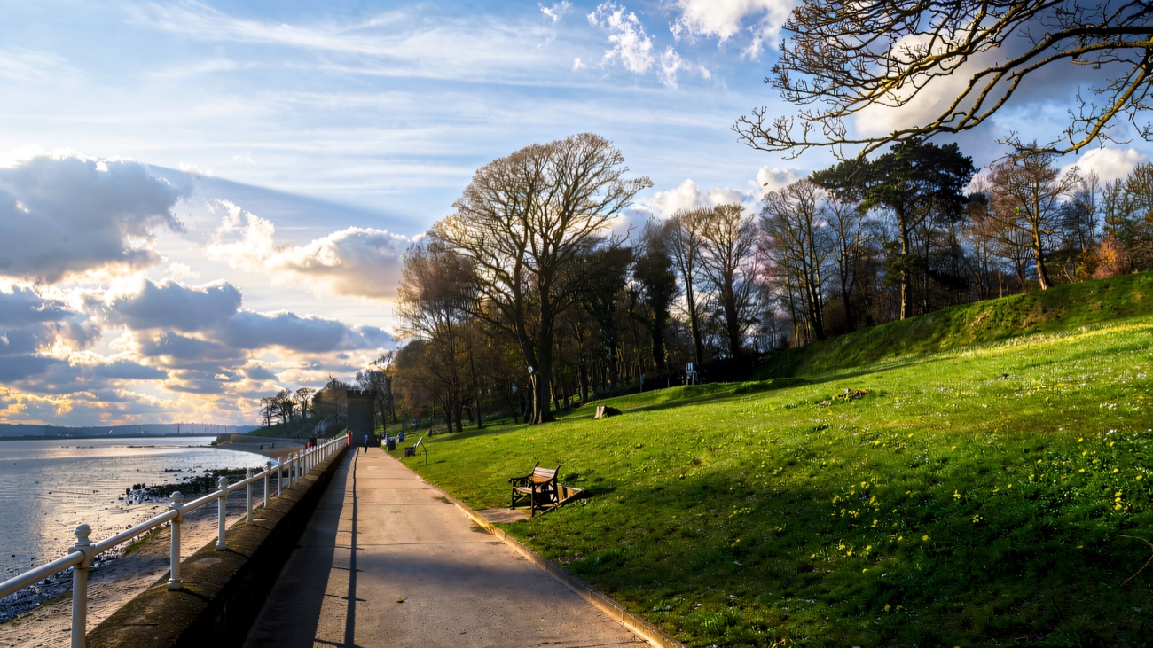 A bright spring morning on the promenade, daffodils on the bank