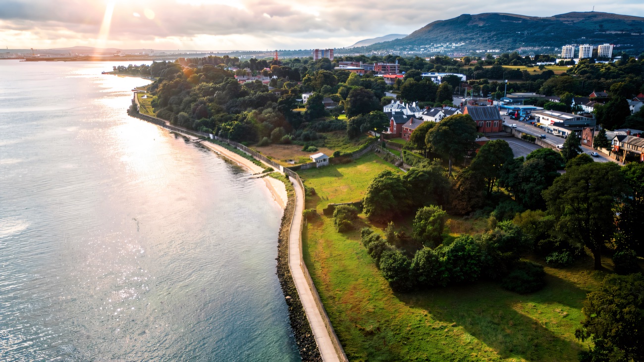 The wooded loughshore and its path seen from the air