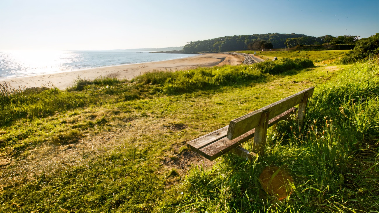 A quiet bench looks out over the beach in the soft warmth of early morning.