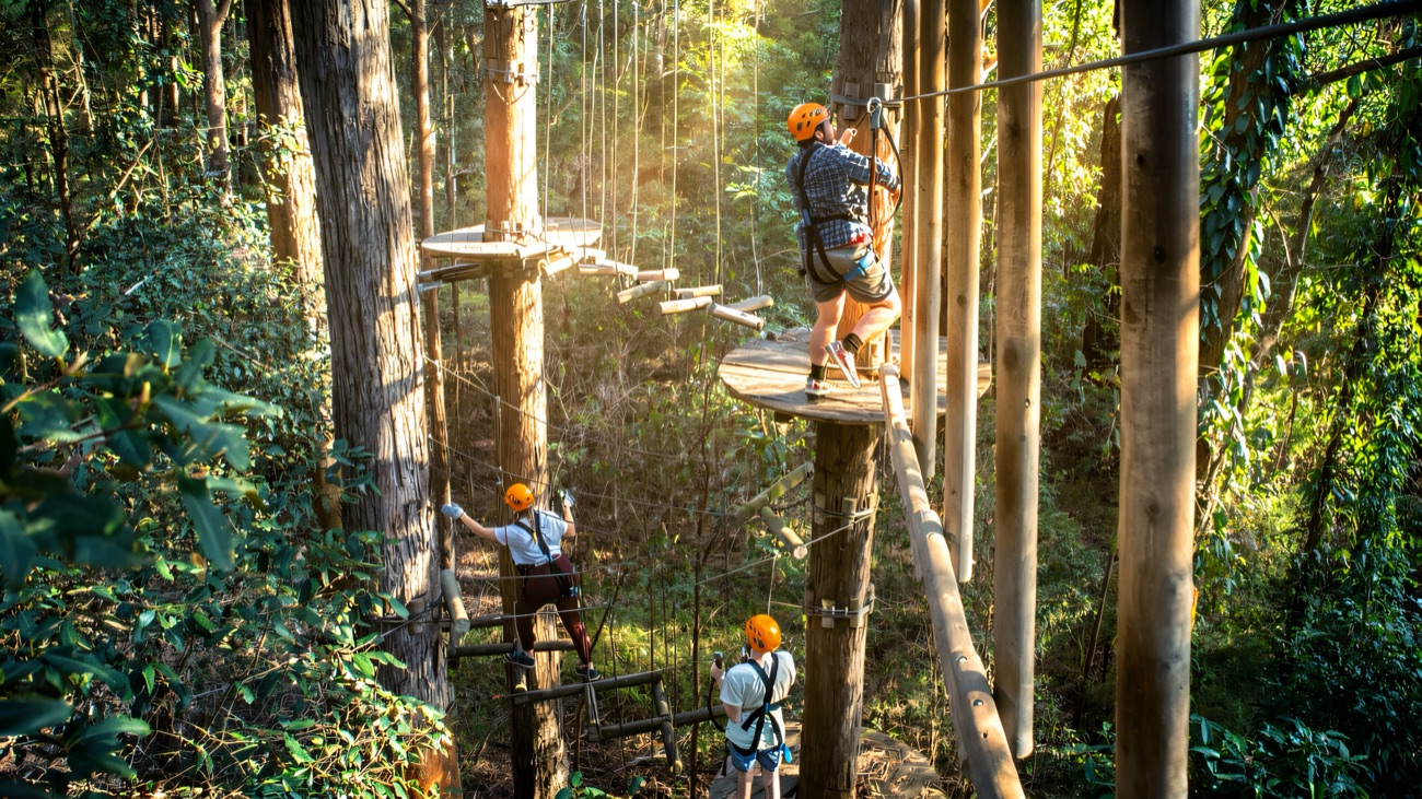 Climbers in helmets working across aerial platforms and rope elements in the treetops