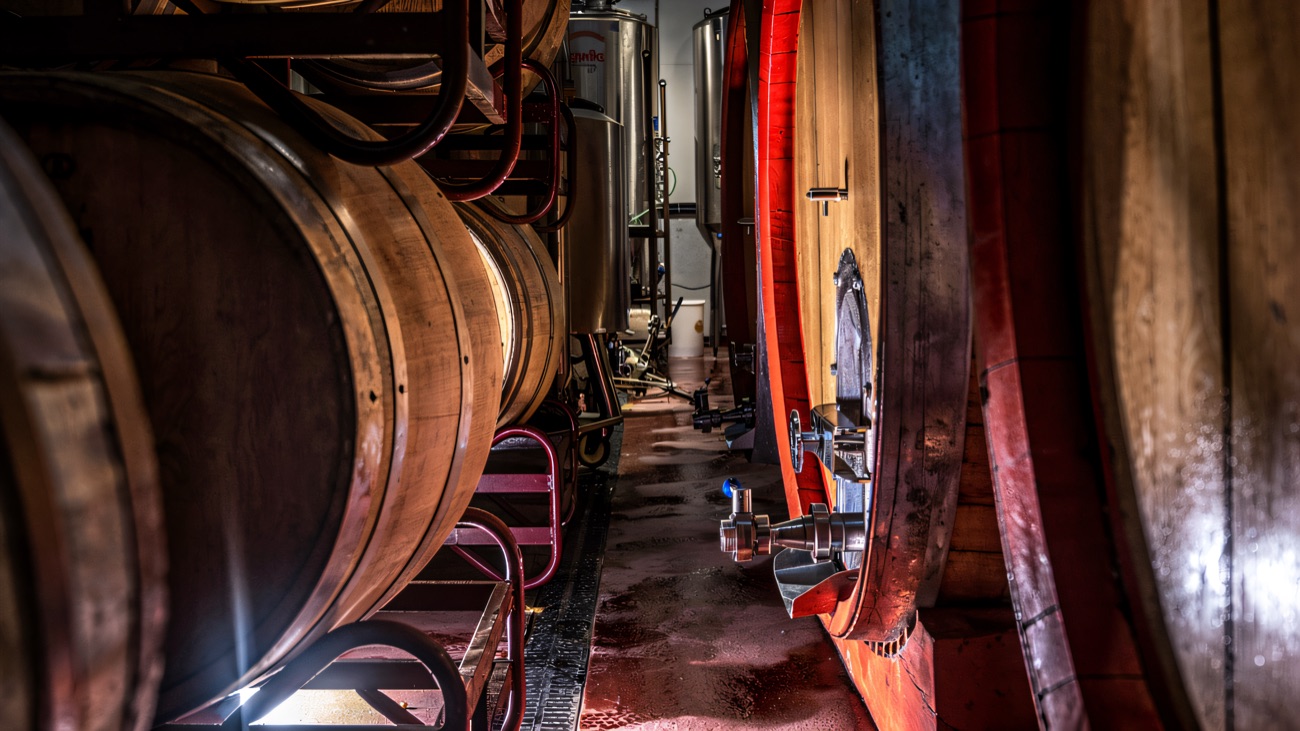 A narrow walkway between big wooden ageing barrels, with steel tanks further down the room.
