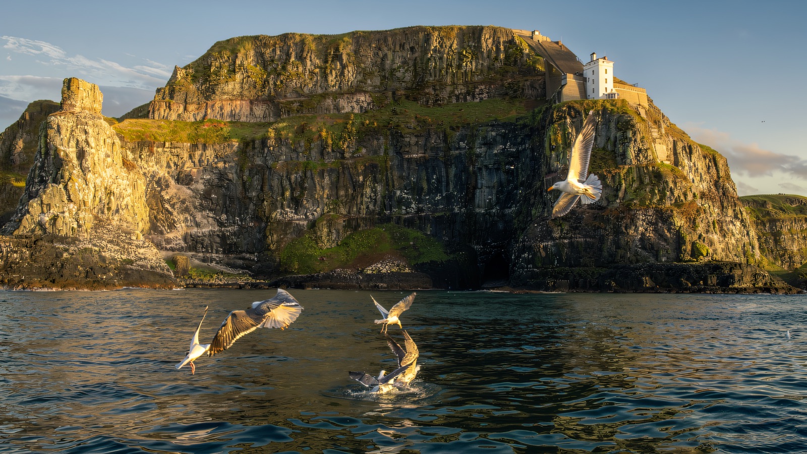 Rathlin Boat Adventures