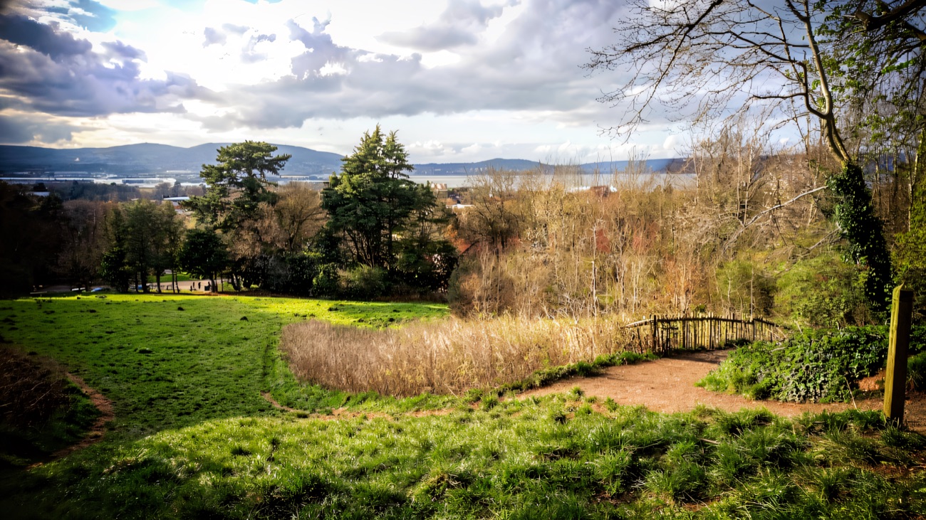 Open meadow on the Redburn hillside with a gravel path and glimpses of Belfast Lough and distant hills beyond the trees