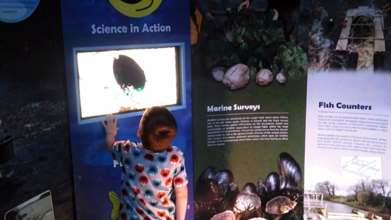 A child using the Science in Action touchscreen display beside panels on marine surveys and fish counters