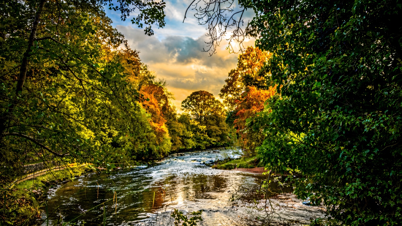 The River Roe flowing through wooded parkland near the resort