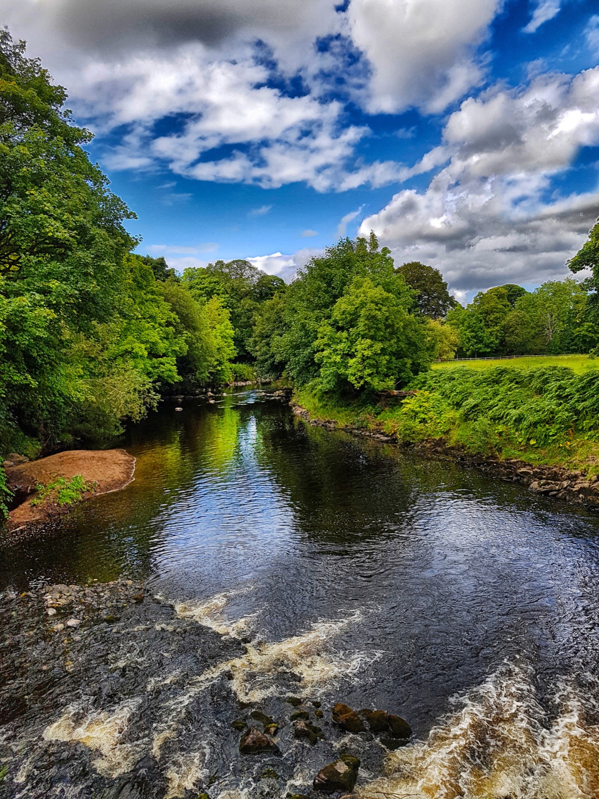 The River Roe running fast over rocks through the wooded gorge at Roe Valley Country Park