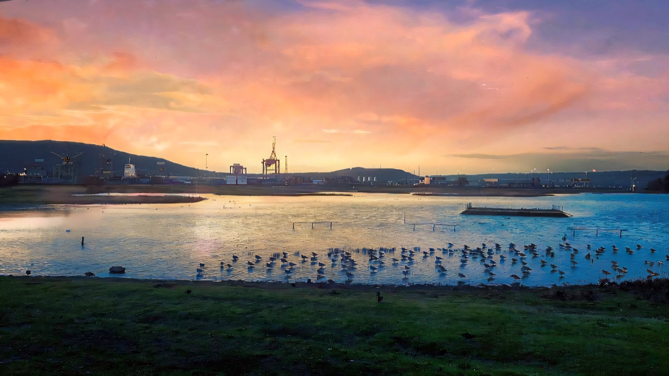 A pink dusk settles over the lagoon as waders gather for the night.