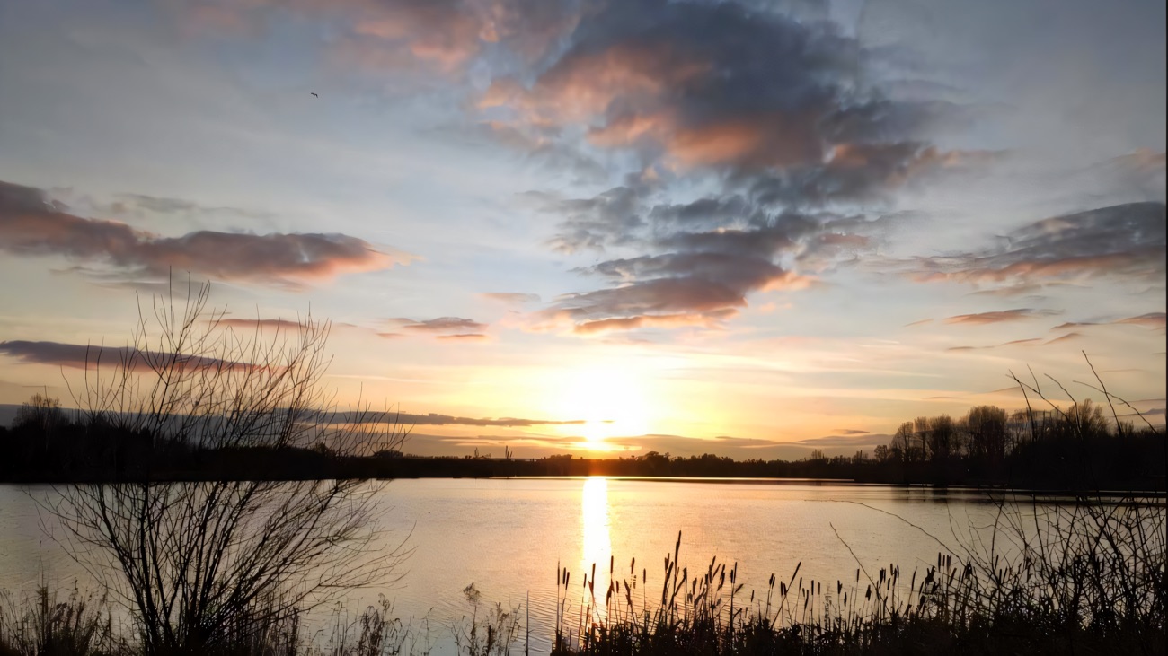 Craigavon Lakes at dusk with reeds in the foreground and a soft pink sky reflected in the still water — the city park right next door to Rushmere