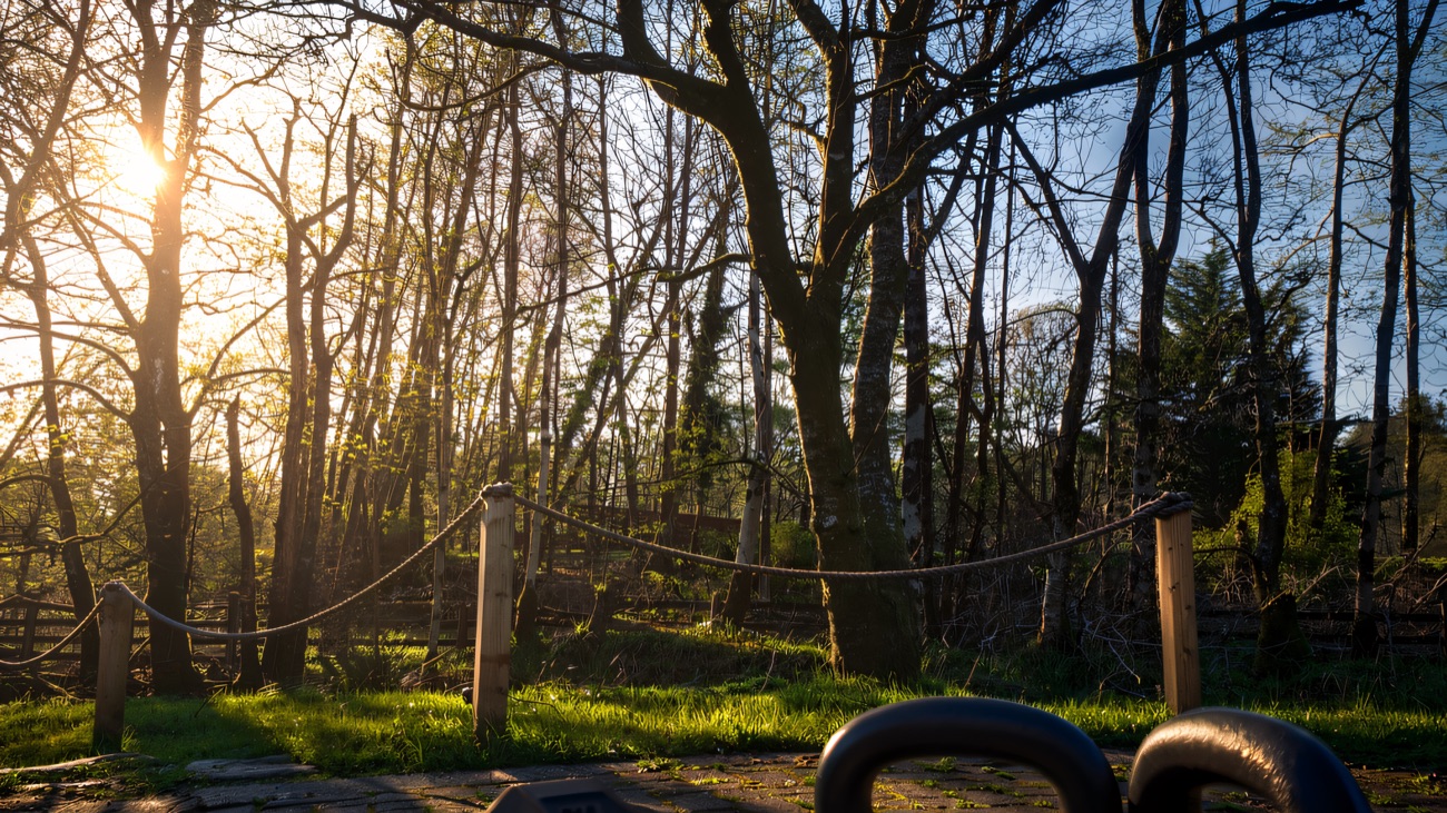 Kettlebells out on the woodland terrace