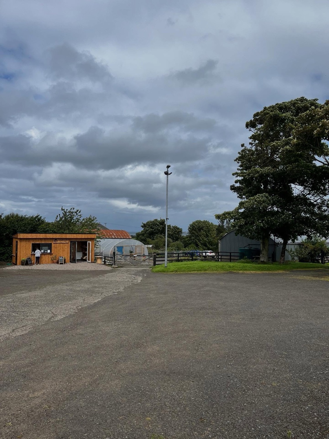 Seaview Farm's timber Larder & Brew Bar cabin and polytunnel at Castlerock, with the farm fields behind
