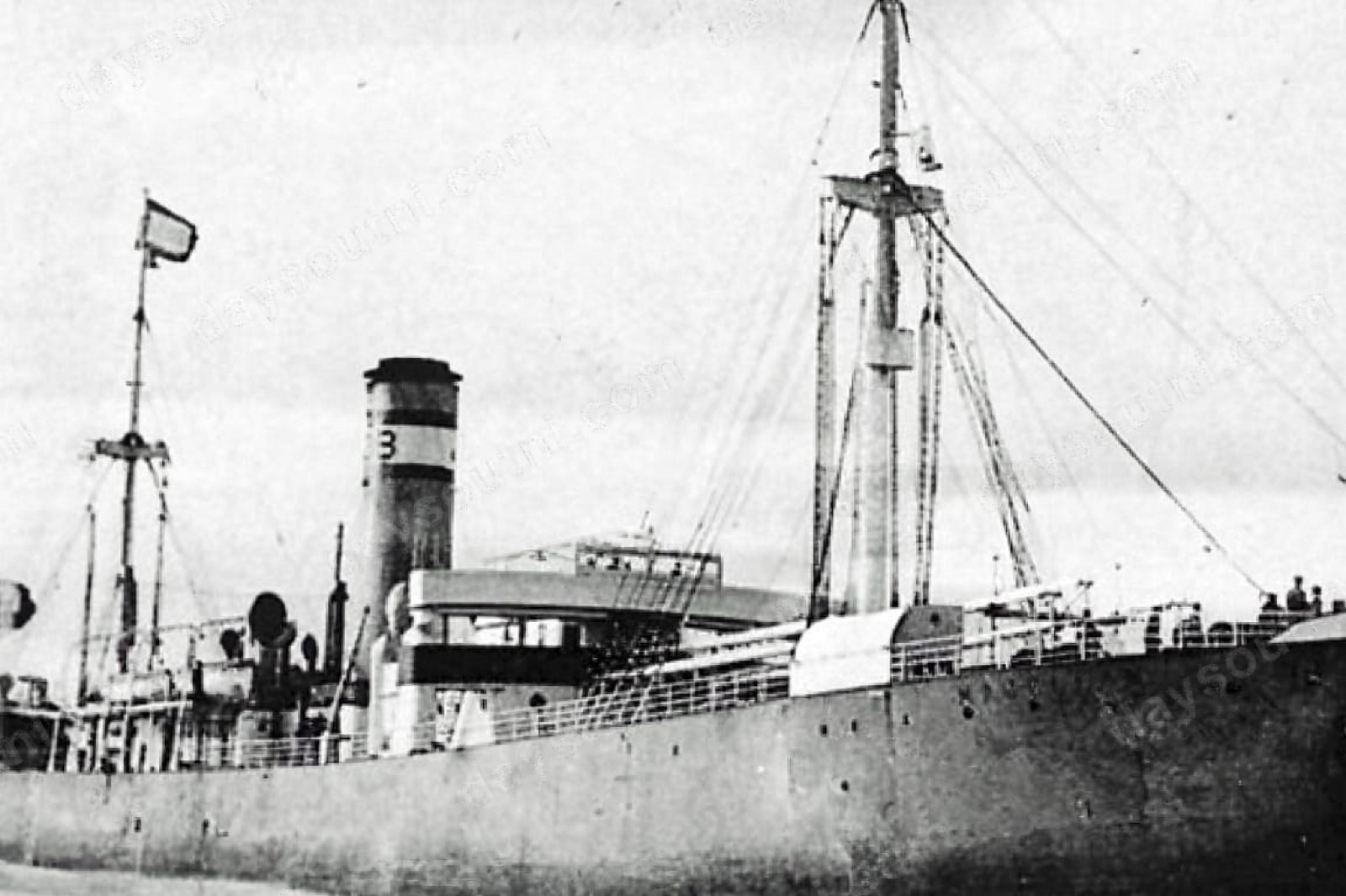 SS Chirripo Wreck Dive (Larne Lough)