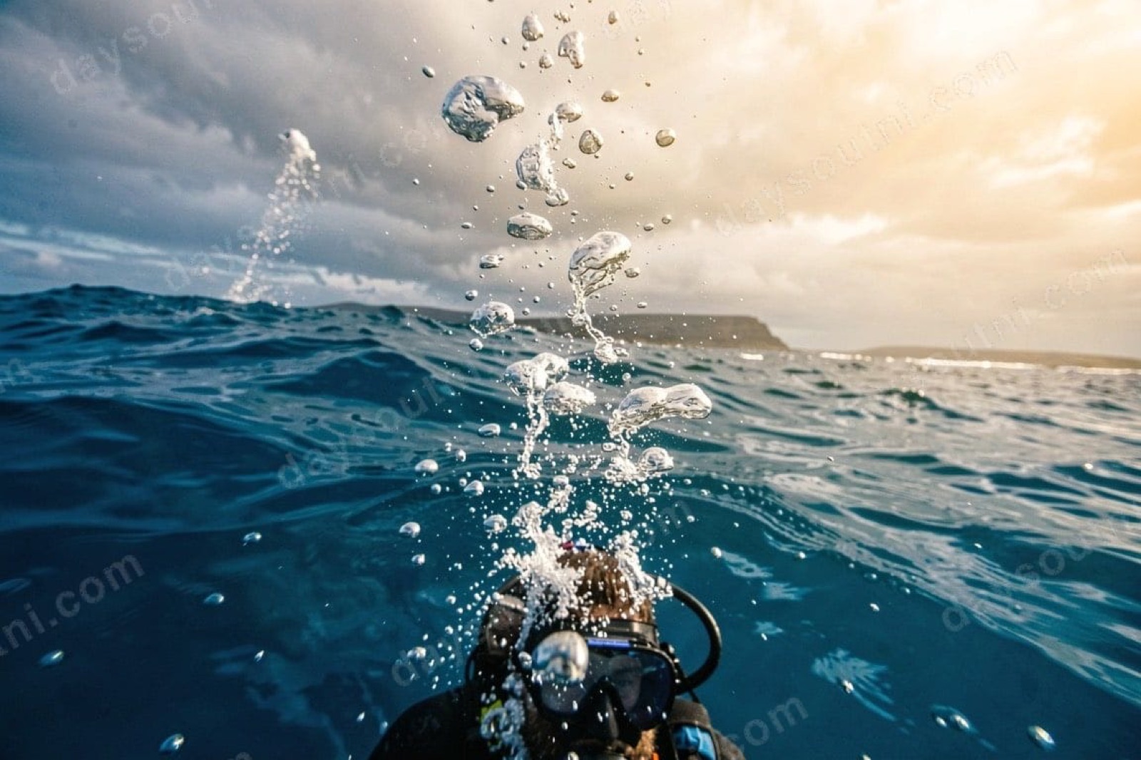 Strangford Dive Centre