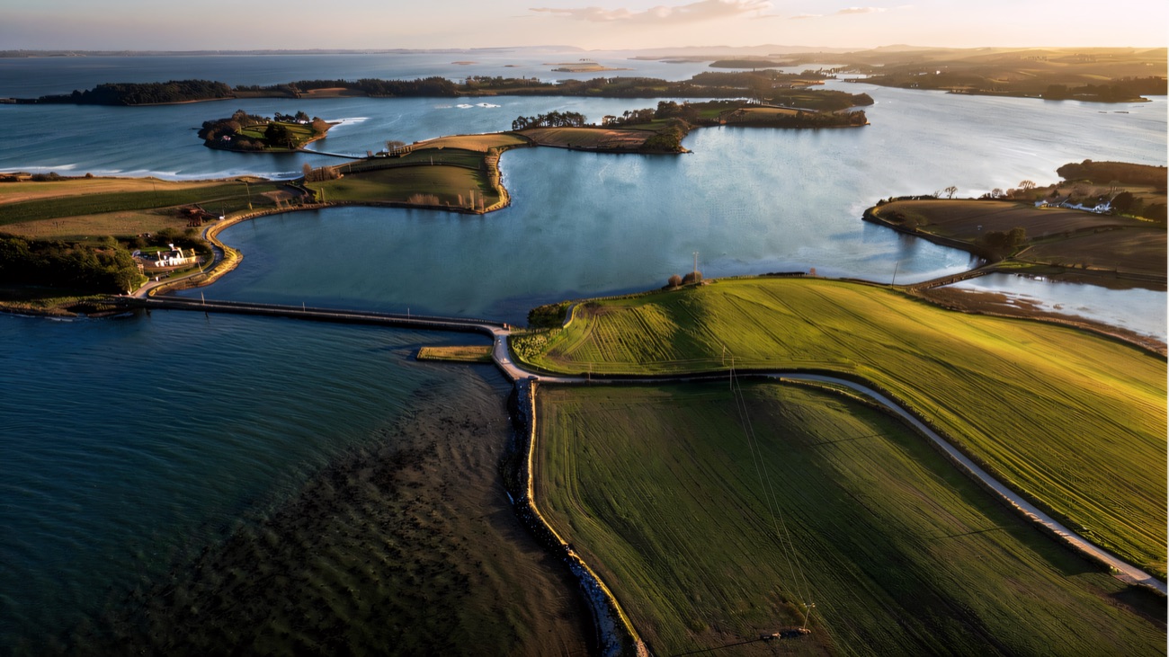 The drumlins and islands of Strangford Lough spread out below
