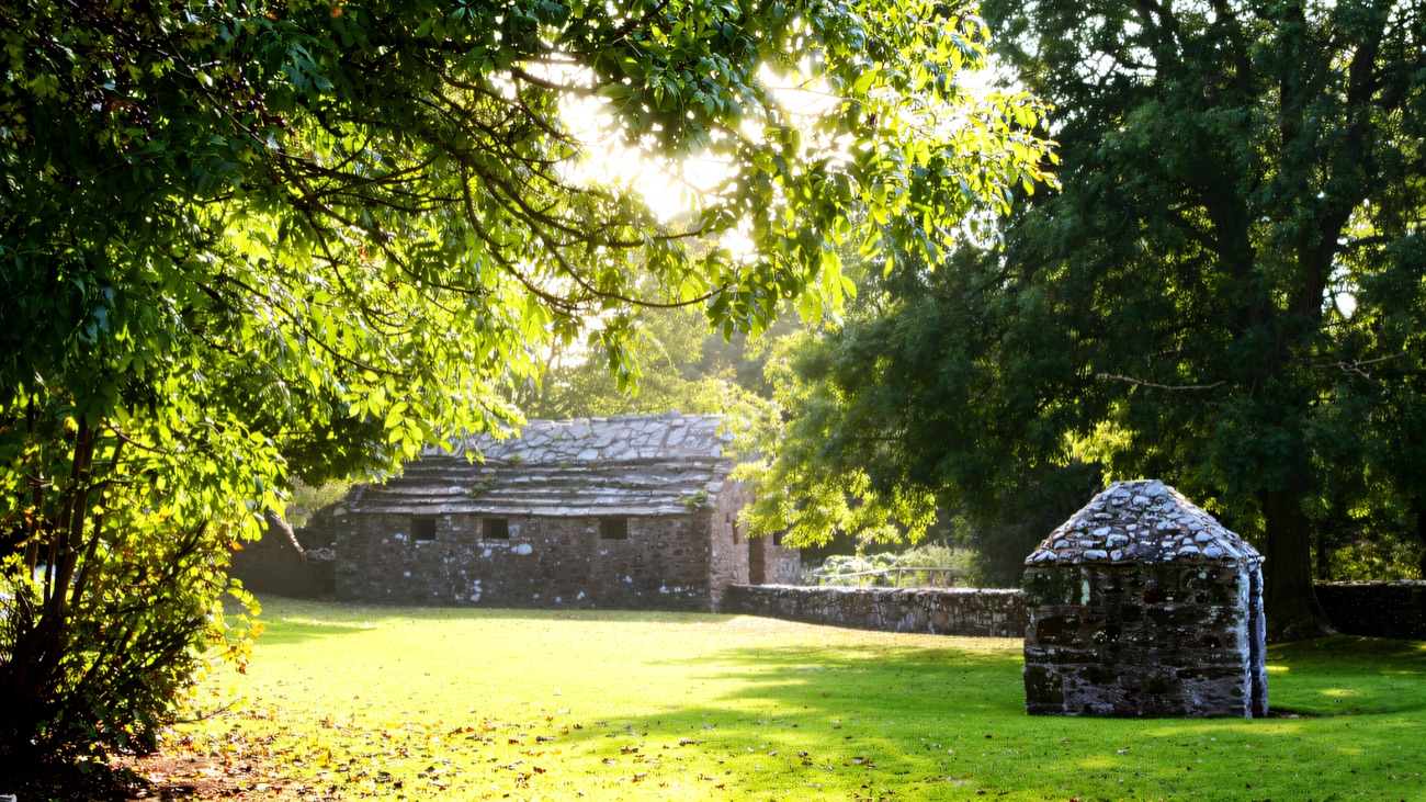 The old stone well houses set in a leafy, dappled green hollow.