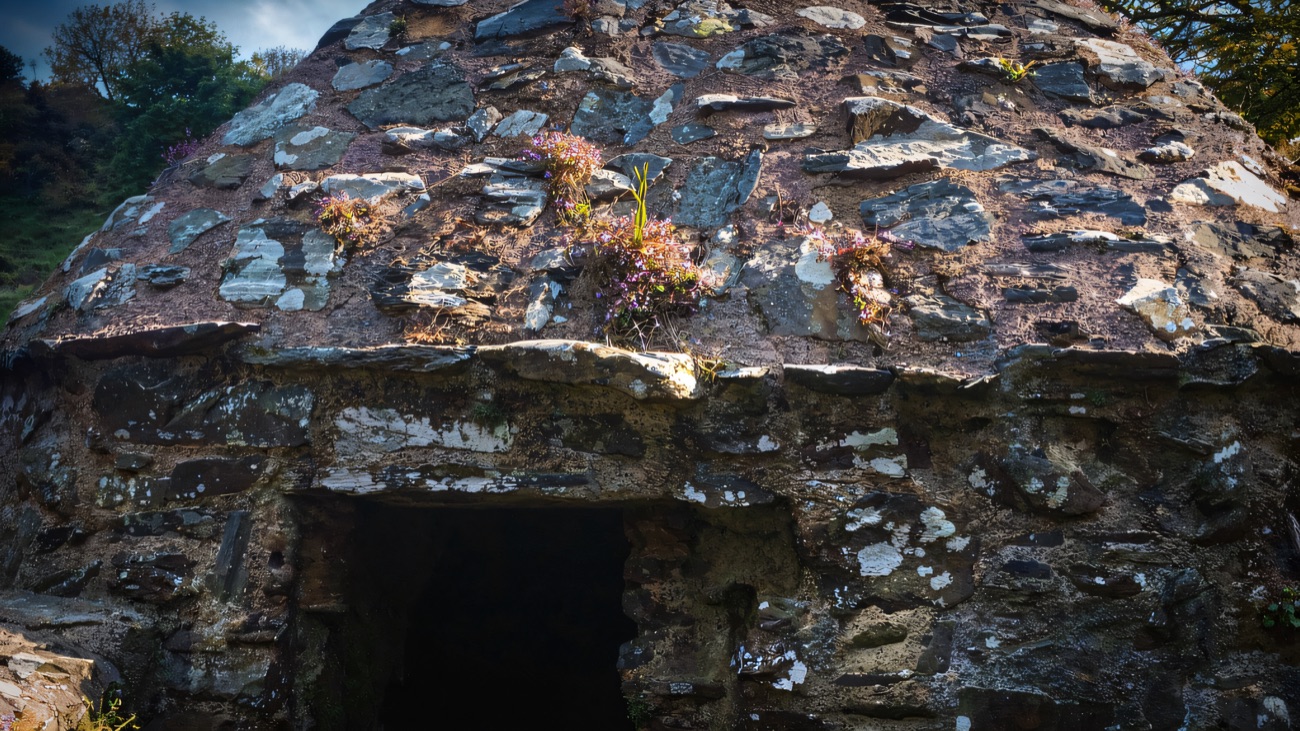 A close view of the corbelled stone dome, wildflowers rooted in its cracks.