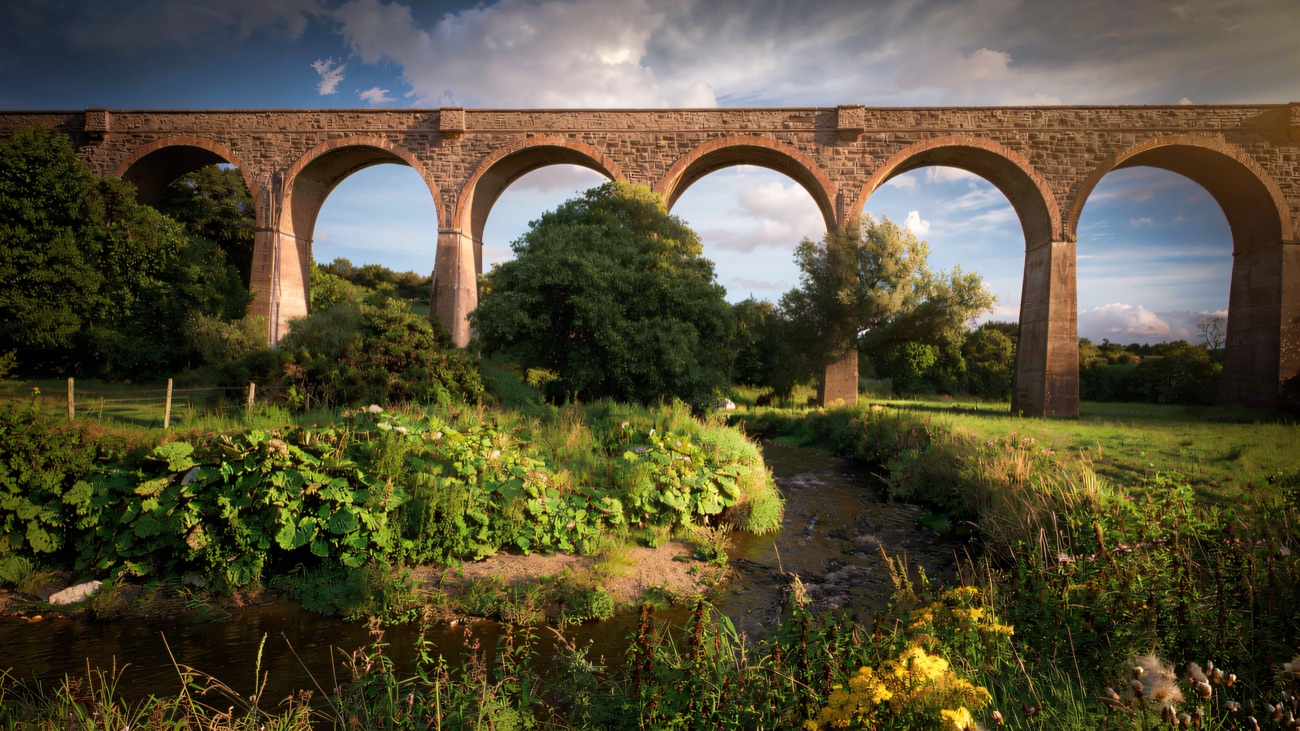 The viaduct above the river, wildflowers along the bank.