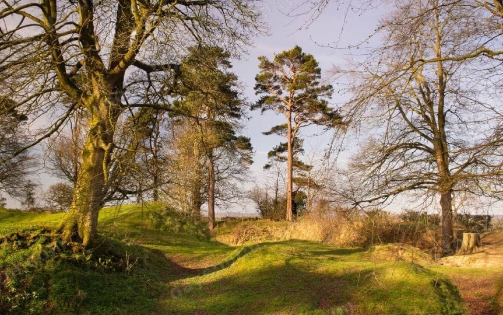 Tullaghoge Fort