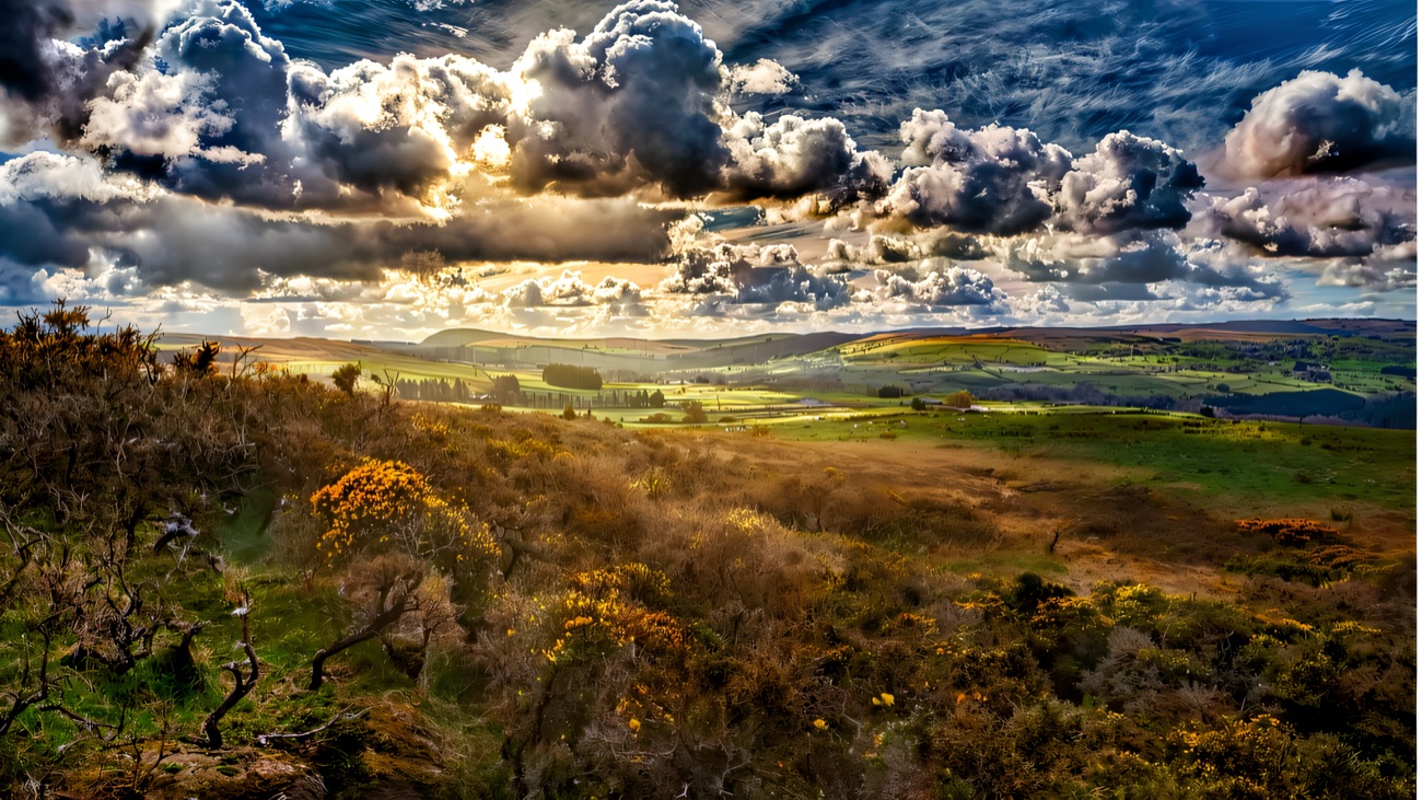 Big skies and gorse over moorland on a bright, blustery day