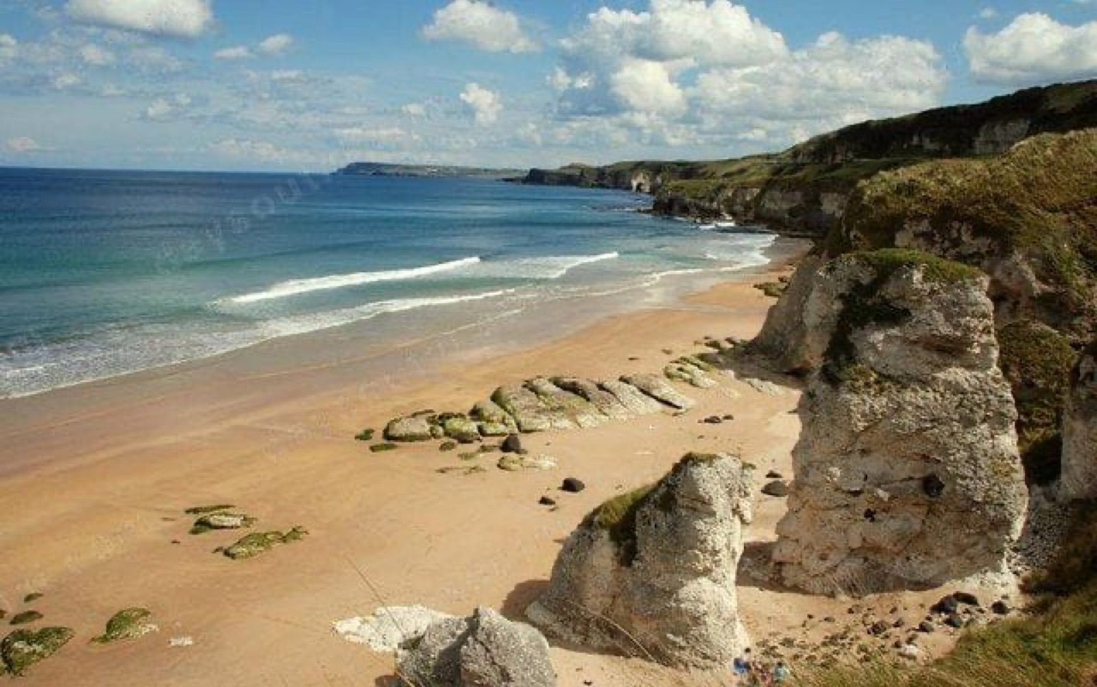 Whiterocks Beach Snorkel Site